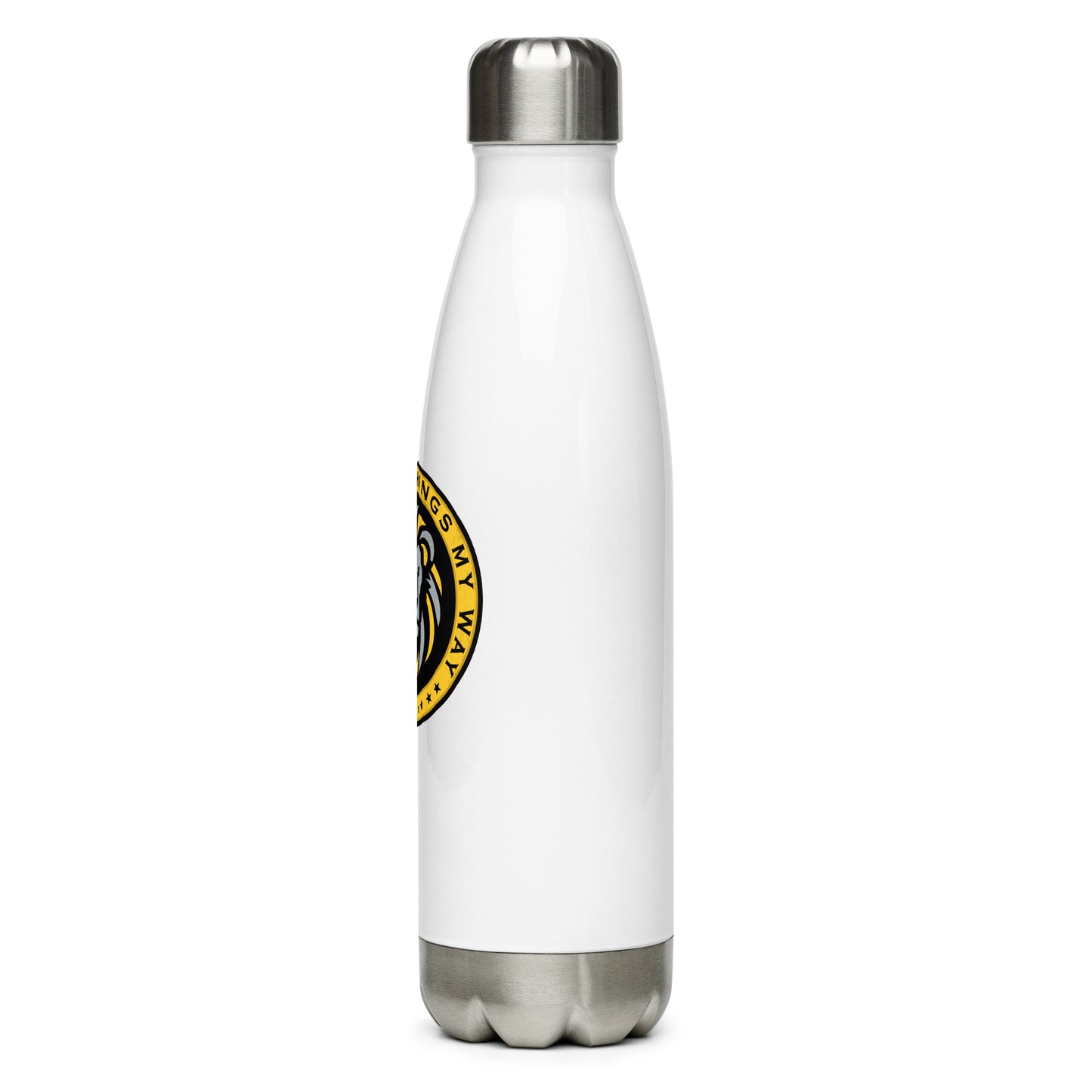 Stainless steel water bottle